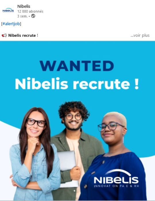 Post réseau sociaux - Wanted - Nibelis recrute !